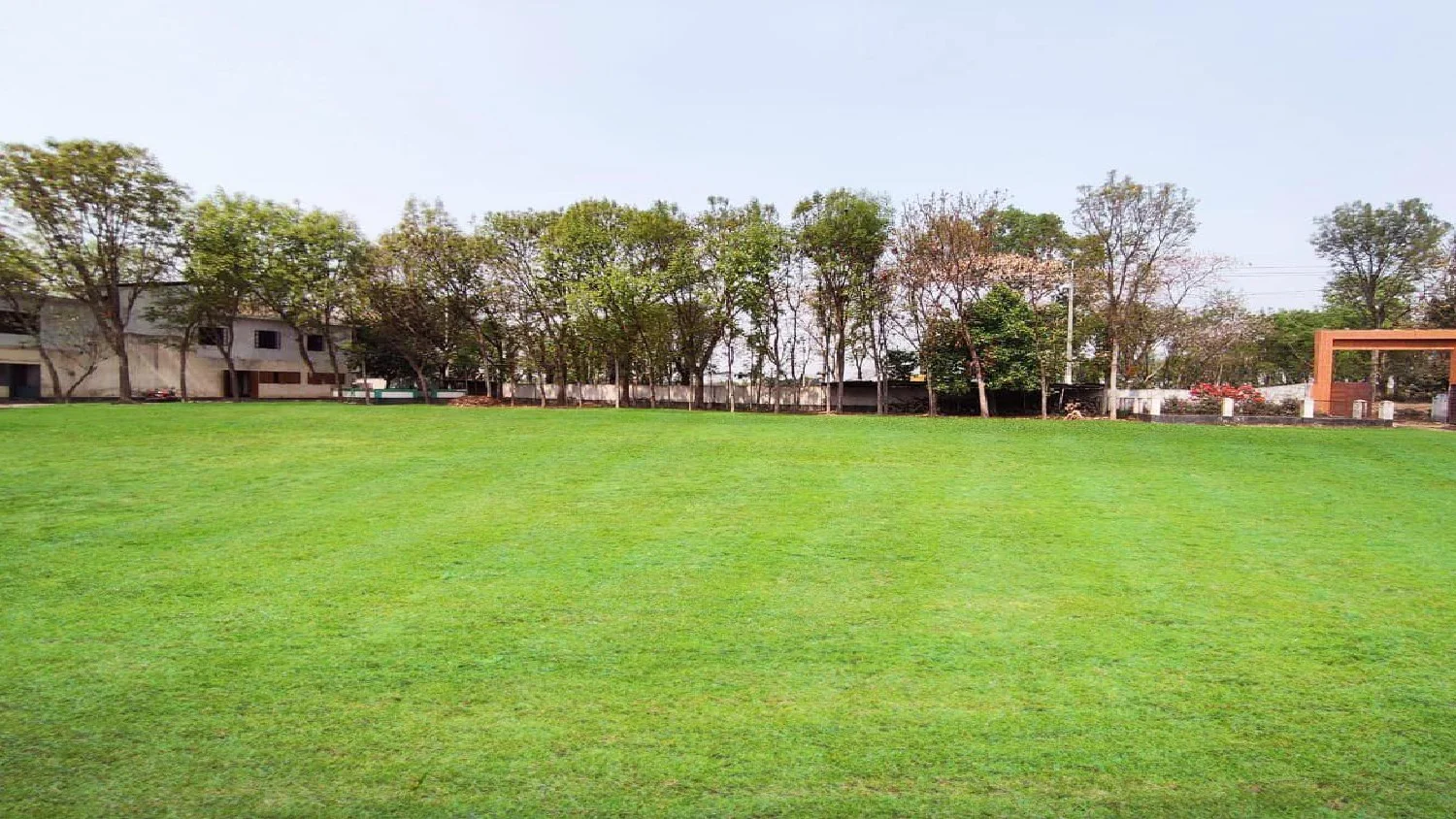 Lush green playground of the Madrasa